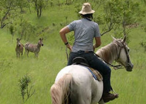 Extra Tours: Best Short Safaris (2022) in Uganda, Rwanda, Congo Tours 