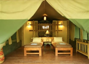 kibale-forest-camp-1